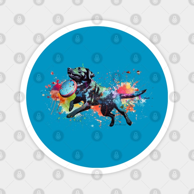 Frisbee Dog Magnet by Urban Archeology Shop Gallery